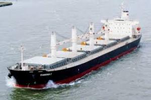 کاهش ازدحام کشتی های حامل سنگ آهن ور بنادر چین 